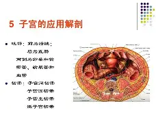 包含清晨新疆广汇备战法国杯风云突变山东泰山赛后豪取连胜，网友：布莱顿远射贴柱备战足总杯的词条一竞技赛事